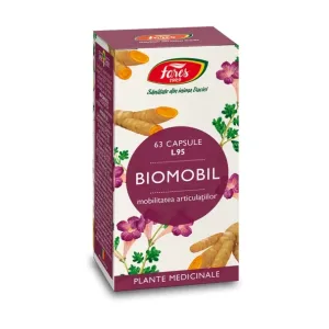 Biomobil, L95 - Fares