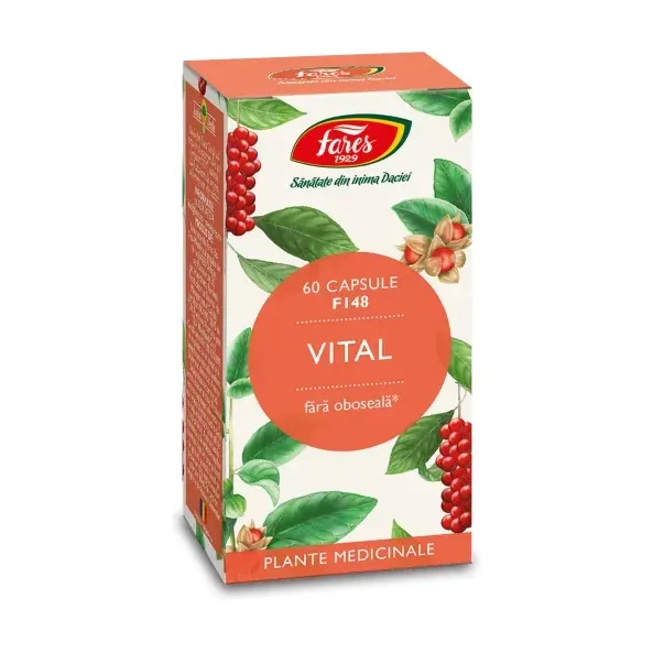 Vital, F148 - Fares
