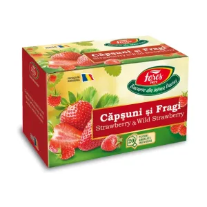 Ceai cu căpșuni și fragi, Horeca - Fares