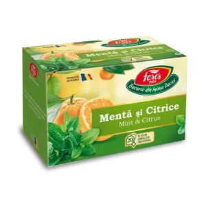 Ceai cu mentă și citrice, Horeca - Fares