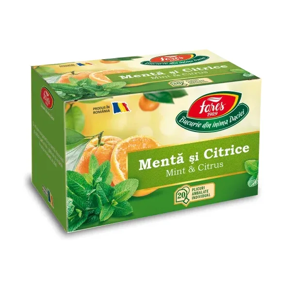 Ceai cu mentă și citrice, Horeca - Fares