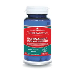 Echinaceea Indiana - Herbagetica