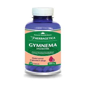 GYMNEMA SYLVESTRE - Herbagetica