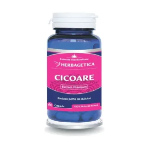 Cicoare Extract - Herbagetica