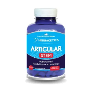 Articular Stem - Herbagetica
