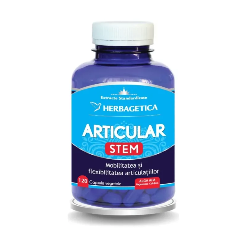 Articular Stem - Herbagetica
