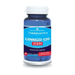 Ginkgo120 Stem - Herbagetica