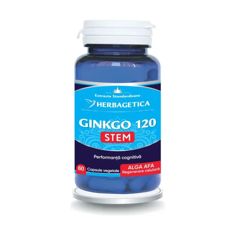 Ginkgo120 Stem - Herbagetica