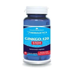 Ginkgo120 Stem - Herbagetica