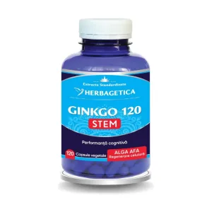 Ginkgo120 Stem - Herbagetica