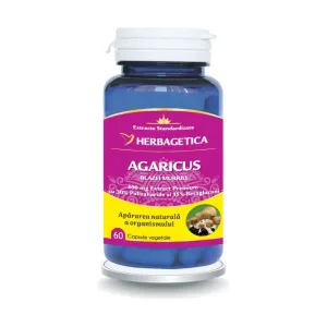 Agaricus - Herbagetica