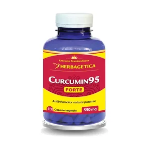 Curcumin95 Forte - Herbagetica