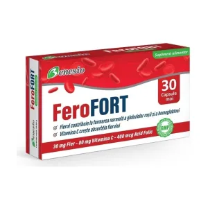 Ferofort fier micronizat - Benesio