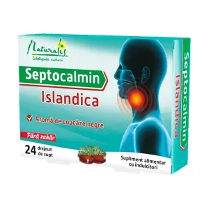 Septocalmin Islandica, 24 drajeuri - Naturalis