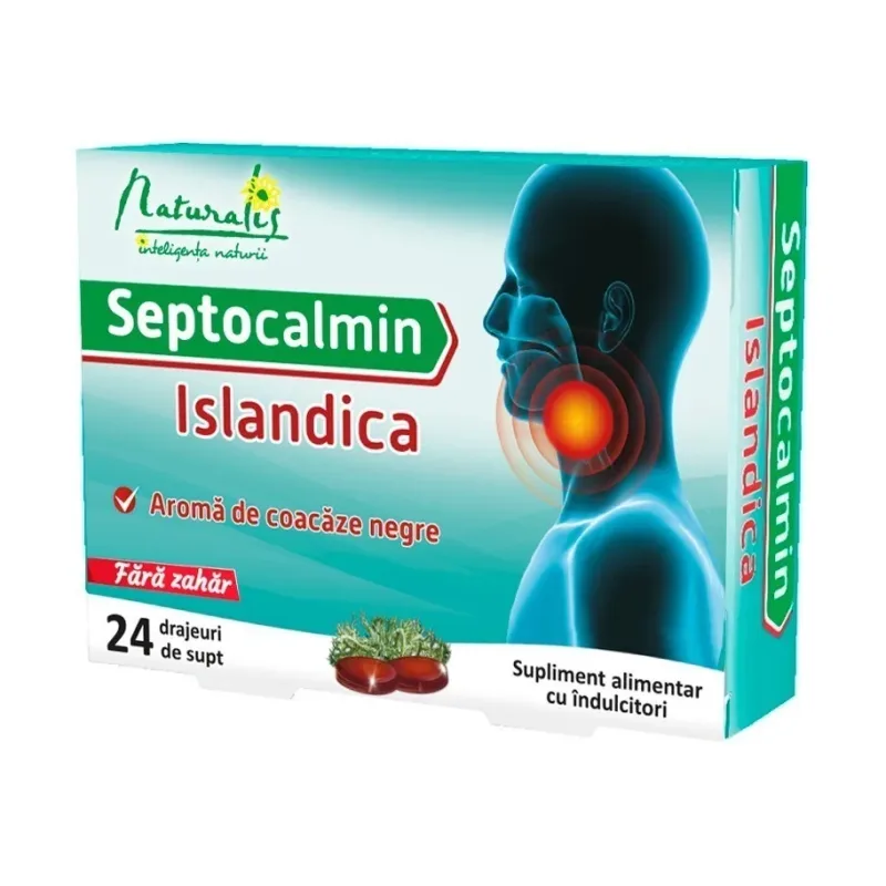 Septocalmin Islandica, 24 drajeuri - Naturalis