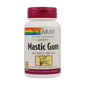 Mastic Gum Extract - Solaray