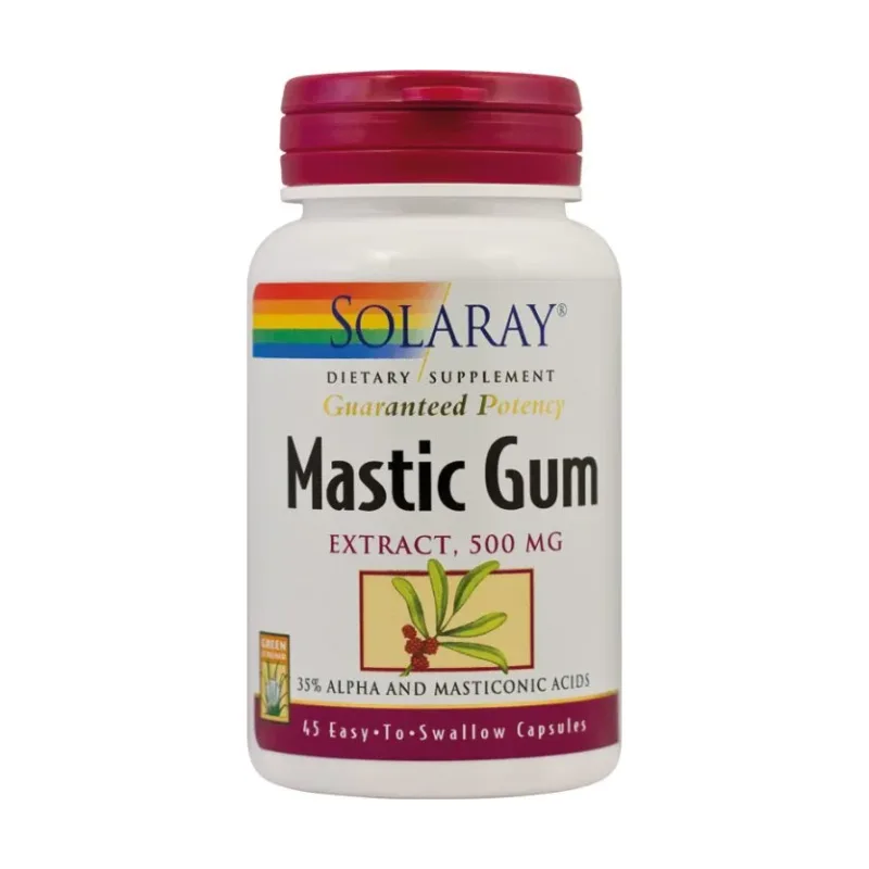 Mastic Gum Extract - Solaray
