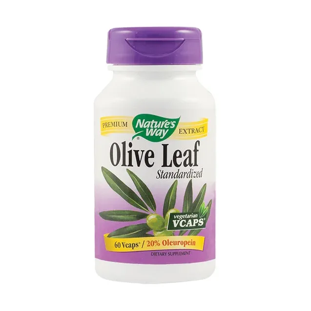 Olive Leaf – frunze maslin - Nature's Way