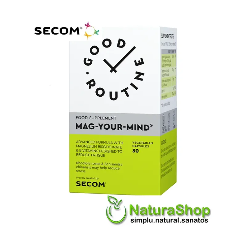Mag Your Mind - Good Routine