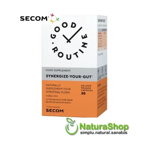 Synergize Your Gut - Good Routine