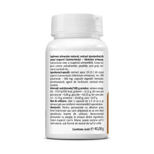 Lion’s Mane 500 mg - Zenyth