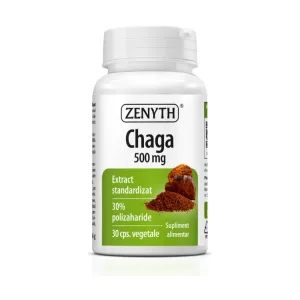 Chaga 500 mg - Zenyth