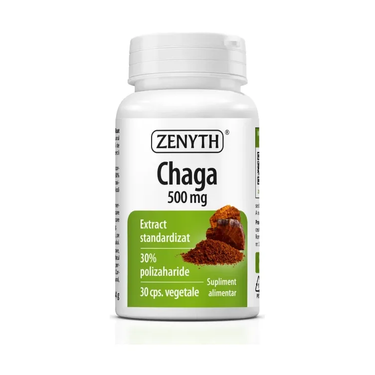 Chaga 500 mg - Zenyth