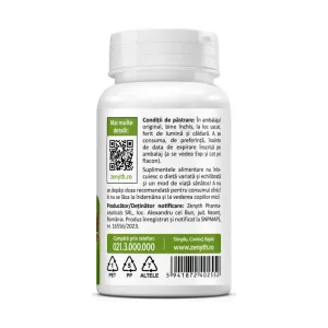 Chaga 500 mg - Zenyth