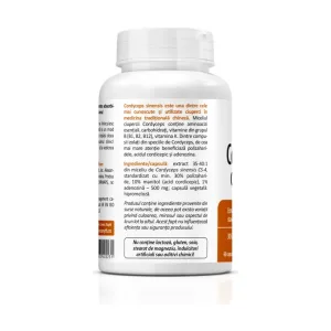 Cordyceps CS-4 500 mg - Zenyth