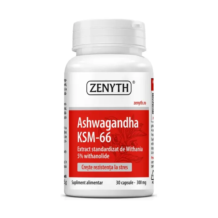 Ashwagandha KSM-66 300 mg - Zenyth