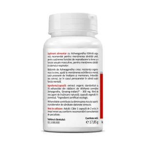 Ashwagandha KSM-66 300 mg - Zenyth