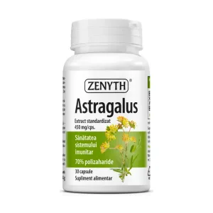 Astragalus 450 mg - Zenyth