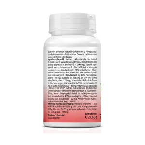 UroHelp Forte - Zenyth