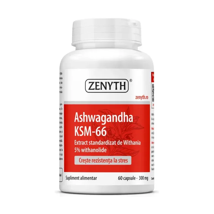 Ashwagandha KSM-66 300 mg - Zenyth