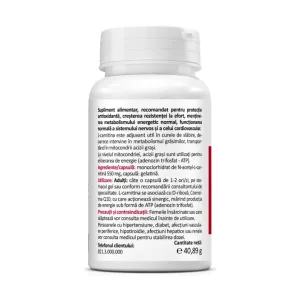 N-Acetil L-Carnitină 550 mg - Zenyth
