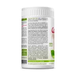 ColonHelp Detox Forte, pulbere - Zenyth