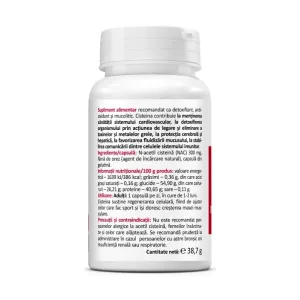 N-Acetil Cisteină 300 mg - Zenyth