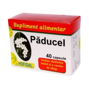 Paducel - Hofigal