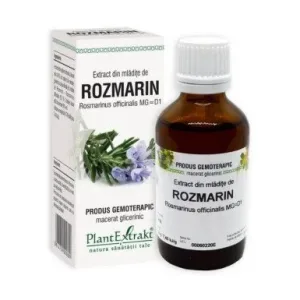 Extract din mladite de rozmarin - Plant Extrakt