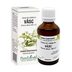 Extract din mladite de vasc - Plant Extrakt