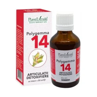 nr. 14 Articulatii - Polygemma
