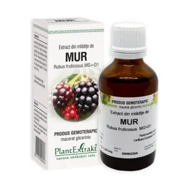 Extract din mladite de MUR - Plant Extrakt