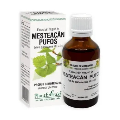 Extract din muguri de mesteacan pufos - Plant Extrakt