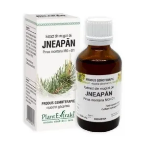 Extract din muguri de Jneapan. Plant Extrakt - Plant Extrakt