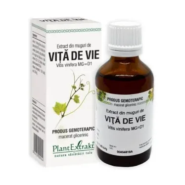 Extract din muguri de vita de vie - Plant Extrakt