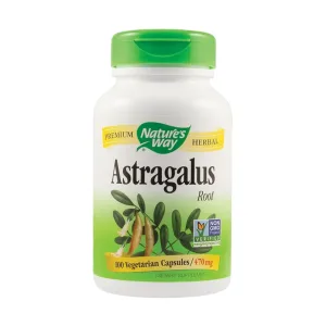 Astragalus - Secom