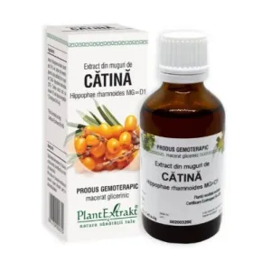 Extract din muguri de catina - Plant Extrakt