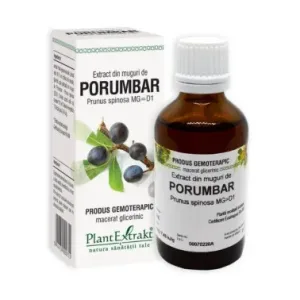 Extract din muguri de porumbar - Plant Extrakt