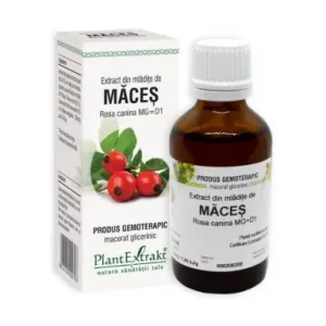Mladite de maces - Plant Extrakt