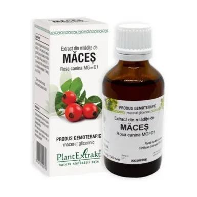 Mladite de maces - Plant Extrakt